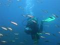IMG_4523 r1